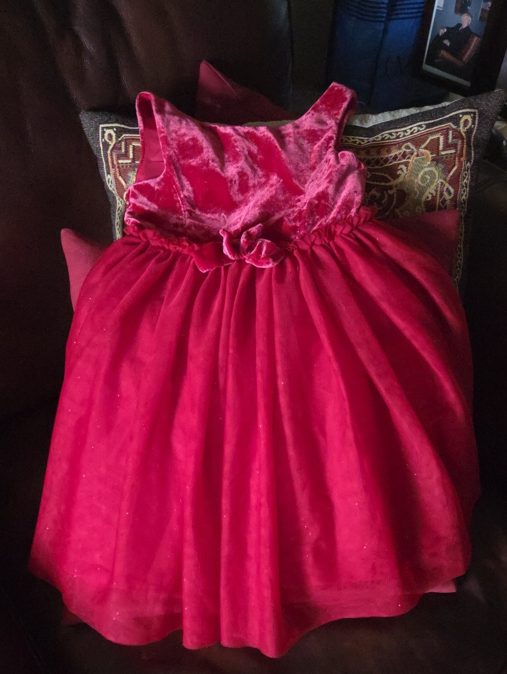 H&M Girls' Red Velvet Bodice & Tulle Party Dress